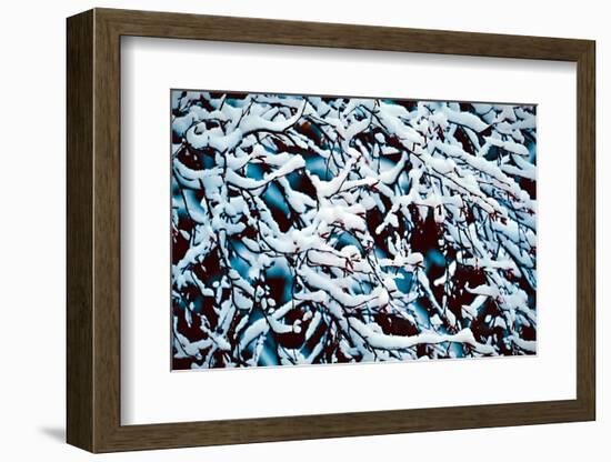 Branches with Snow-Ursula Abresch-Framed Photographic Print