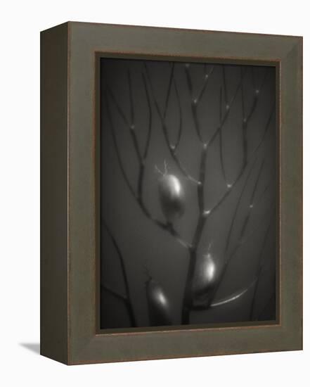 Branching Kelp-Henry Horenstein-Framed Premier Image Canvas