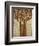 Branching Out-Liz Jardine-Framed Art Print