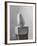 Brancusi Sculpture on Exhibit at the Guggenheim Museum-Nina Leen-Framed Photographic Print