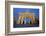 Brandenburg Gate at Night, Berlin, Germany, Europe-Miles Ertman-Framed Photographic Print