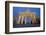 Brandenburg Gate at Night, Berlin, Germany, Europe-Miles Ertman-Framed Photographic Print