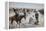 Branding a Steer-Frederic Sackrider Remington-Framed Premier Image Canvas