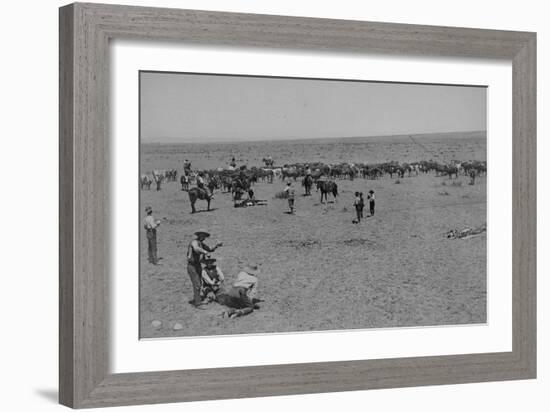 Branding At Texas Ranch-7 RANCH-Framed Art Print