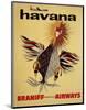 Braniff International Airways, Havana-null-Mounted Art Print