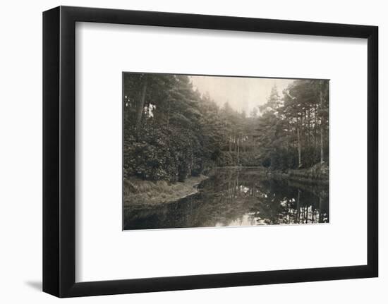 'Branksome Chine and Lake', c1910-Unknown-Framed Photographic Print