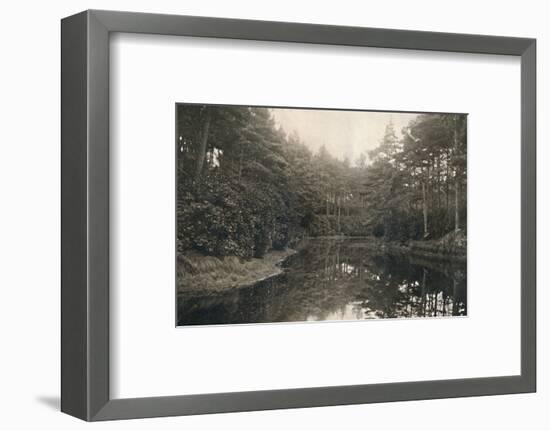 'Branksome Chine and Lake', c1910-Unknown-Framed Photographic Print