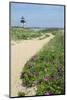 Brant Lighthouse, Nantucket Harbor, Nantucket, Massachusetts, USA-Lisa S^ Engelbrecht-Mounted Photographic Print