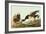 Brant-John James Audubon-Framed Art Print