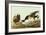 Brant-John James Audubon-Framed Art Print