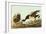 Brant-John James Audubon-Framed Art Print