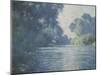 Bras de Seine près de Giverny-Claude Monet-Mounted Giclee Print