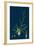 Brassica Tenuifolia; Wall Rocket-null-Framed Giclee Print
