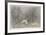 Brave Venture-Michael Knigin-Framed Limited Edition