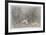 Brave Venture-Michael Knigin-Framed Limited Edition