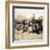 'Braves of a Zulu Village holding a Council, near the Umlaloose River, Zululand, S.A.', 1901-Unknown-Framed Photographic Print