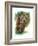 Brawny-Barbara Keith-Framed Giclee Print