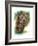 Brawny-Barbara Keith-Framed Giclee Print