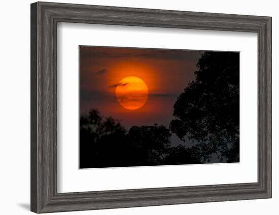 Brazil. A colorful orange sunset in the Pantanal.-Ralph H. Bendjebar-Framed Premium Photographic Print