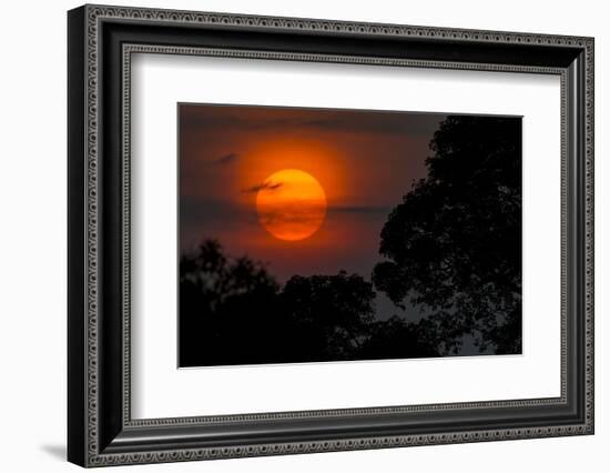 Brazil. A colorful orange sunset in the Pantanal.-Ralph H. Bendjebar-Framed Premium Photographic Print