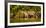 Brazil. A female jaguar hunting along the banks of a river in the Pantanal-Ralph H. Bendjebar-Framed Photographic Print