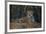 Brazil. A jaguar rests along the banks of a river in the Pantanal.-Ralph H. Bendjebar-Framed Premium Photographic Print