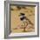 Brazil. A juvenile pied lapwing along the banks of a river in the Pantanal-Ralph H. Bendjebar-Framed Photographic Print