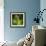 Brazil. A male jaguar resting along the banks of a river in the Pantanal-Ralph H. Bendjebar-Framed Photographic Print displayed on a wall