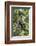 Brazil, Amazon, Manaus, Common woolly monkey hanging from the trees using its tail.-Ellen Goff-Framed Photographic Print