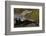 Brazil, Cuiaba River, Pantanal Wetlands, Three Yacare Caiman-Judith Zimmerman-Framed Photographic Print