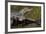 Brazil, Cuiaba River, Pantanal Wetlands, Three Yacare Caiman-Judith Zimmerman-Framed Photographic Print