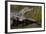 Brazil, Cuiaba River, Pantanal Wetlands, Three Yacare Caiman-Judith Zimmerman-Framed Photographic Print