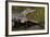 Brazil, Cuiaba River, Pantanal Wetlands, Three Yacare Caiman-Judith Zimmerman-Framed Photographic Print