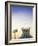 Brazil, Distrito Federal-Brasilia, Brasilia, Metropolitan Cathedral of Brasilia-Jane Sweeney-Framed Photographic Print