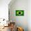 Brazil Flag Design with Wood Patterning - Flags of the World Series-Philippe Hugonnard-Mounted Art Print displayed on a wall