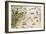 Brazil from the "Miller Atlas" by Pedro Reinel, circa 1519-null-Framed Giclee Print