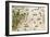 Brazil from the "Miller Atlas" by Pedro Reinel, circa 1519-null-Framed Giclee Print