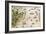 Brazil from the "Miller Atlas" by Pedro Reinel, circa 1519-null-Framed Giclee Print