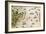 Brazil from the "Miller Atlas" by Pedro Reinel, circa 1519-null-Framed Giclee Print