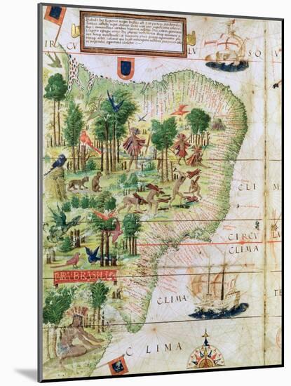 Brazil from the "Miller Atlas" by Pedro Reinel, circa 1519-null-Mounted Giclee Print