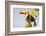 Brazil, Mato Grosso, the Pantanal. a Toco Toucan in a Papaya Tree-Ellen Goff-Framed Photographic Print