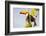 Brazil, Mato Grosso, the Pantanal. a Toco Toucan in a Papaya Tree-Ellen Goff-Framed Photographic Print