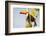 Brazil, Mato Grosso, the Pantanal. a Toco Toucan in a Papaya Tree-Ellen Goff-Framed Photographic Print