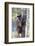 Brazil, Mato Grosso, the Pantanal. Brown Capuchin Monkey on a Tree-Ellen Goff-Framed Photographic Print