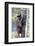 Brazil, Mato Grosso, the Pantanal. Brown Capuchin Monkey on a Tree-Ellen Goff-Framed Photographic Print