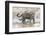 Brazil, Mato Grosso, the Pantanal, Cuiaba River. Jaguar Walking Along the Bank of the Cuiaba River-Ellen Goff-Framed Photographic Print