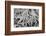 Brazil, Mato Grosso, the Pantanal. Exposed Tree Roots Along the Banks of the Rio Cuiaba-Ellen Goff-Framed Photographic Print