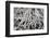 Brazil, Mato Grosso, the Pantanal. Exposed Tree Roots Along the Banks of the Rio Cuiaba-Ellen Goff-Framed Photographic Print
