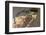 Brazil, Mato Grosso, the Pantanal, Green Iguana Digging Nest Along the River Bank-Ellen Goff-Framed Photographic Print