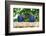 Brazil, Mato Grosso, the Pantanal, Hyacinth Macaw on a Branch-Ellen Goff-Framed Photographic Print